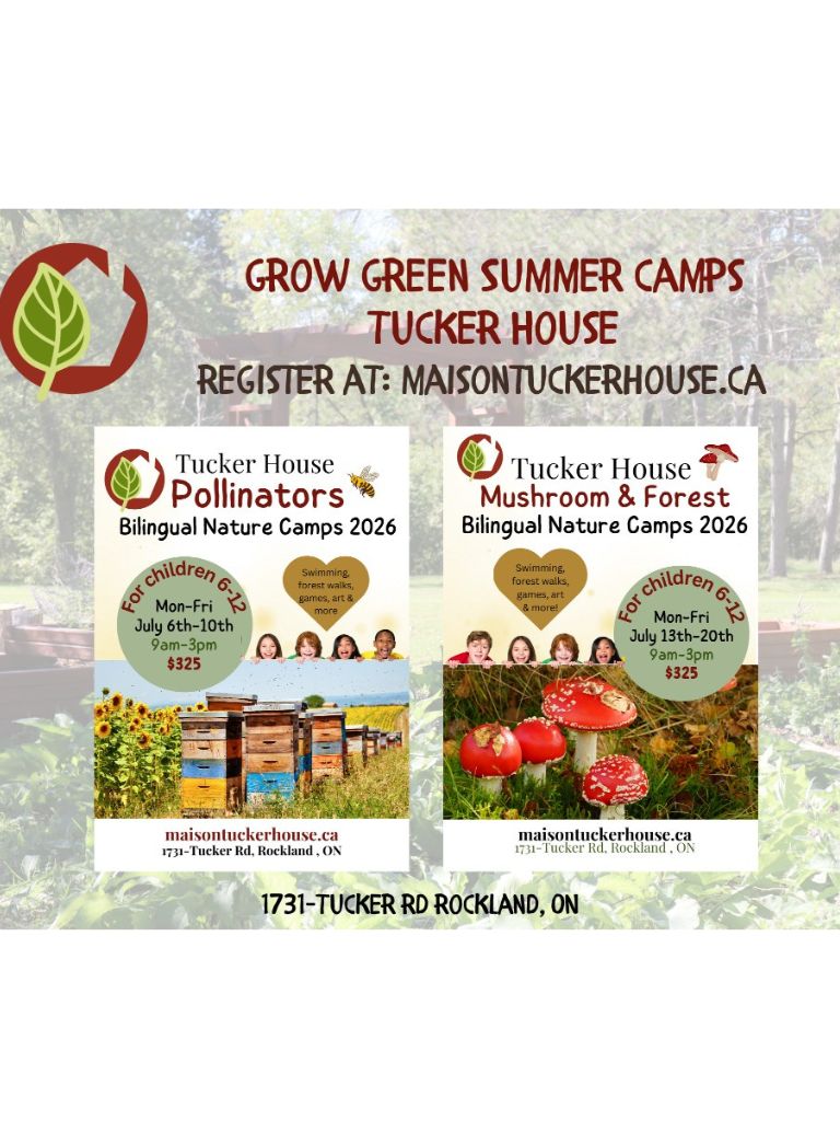 Bilingual Summer Camps